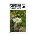 Lone Daisy postage