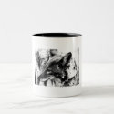 Lone Desert Coyote, D.B. Martin  2005 mugs