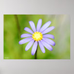 Lone Flower Posters