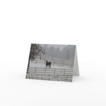 Lone Horse cards by pfdesign Lone Horse cards
