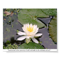 Lone Lily Poster with May Sarton Quote posters