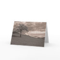 Lone Oak cards