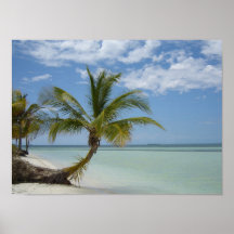 Lone Palm on a Cuban Beach Print