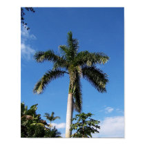 Lone Palm posters by Maccam94 Lone Palm posters