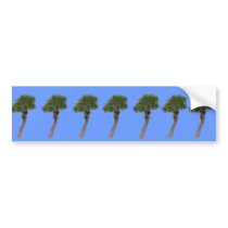 Lone Palm Tree bumper stickers
