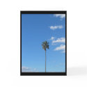 Lone palm tree cards
