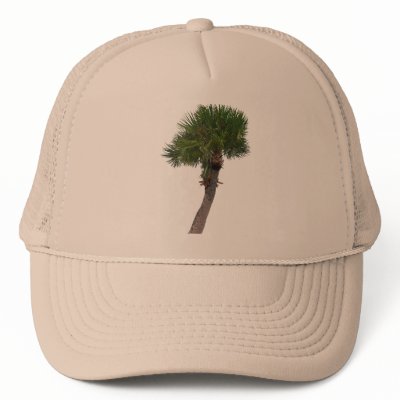 Lone Palm Tree Mesh Hat by Priscilla48
