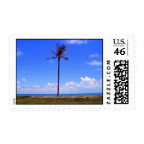Lone Palm Tree postage by mrulon23 Lone Palm Tree postage