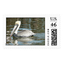 Lone pelican. stamps