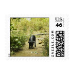 Lone Pig (2) Postage Stamps