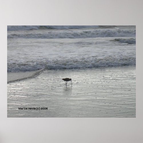 Lone Sandpiper at Watsonville Beach zazzle_print