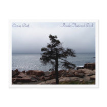 Lone Sentinel on the Ocean Path postcards by awhitelaw Lone Sentinel on the Ocean Path postcards