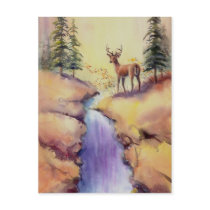 LONE STAG by SHARON SHARPE postcards