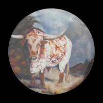 Lone Star Longhorn magnets