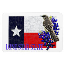 LONE STAR STATE Magnet