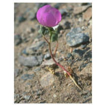 Lone Survivor Full Color Flyer