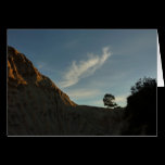 Lone Torrey Pine Card
