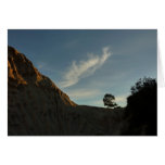 Lone Torrey Pine Card