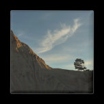 Lone Torrey Pine Magnet