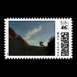 Lone Torrey Pine Stamps
