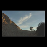 Lone Torrey Pine Sticker