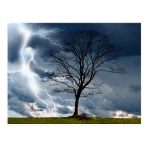 Lone tree and lightning post card