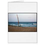 Lone tree beach greeting cards