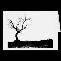 Lone Tree cards