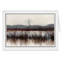 Lone Tree cards