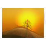 Lone Tree Foggy Sunrise Card