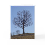Lone Tree Greeting Card