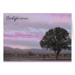 lone tree greeting cards