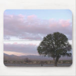 lone tree in cuyuma mouse pads