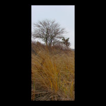 Lone Tree in Winter posters by alyciakeating Lone Tree in Winter posters