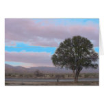 lone tree IV Greeting Cards
