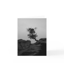 Lone Tree Note Card by SerenityCreek Lone Tree Note Card
