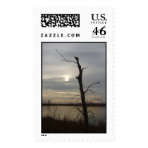 Lone tree postage by dirtysally Lone tree postage