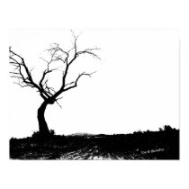 Lone Tree posters