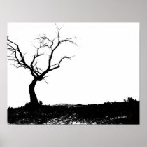 Lone Tree Print