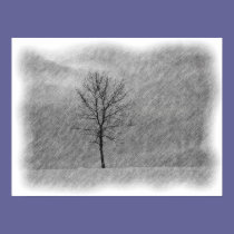 Lone Tree posters