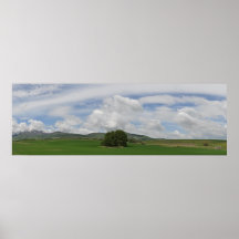 Lone Tree Posters
