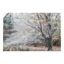 lone tree posters