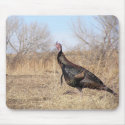 Lone Turkey mousepads