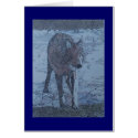 lone wolf cards