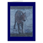 lone wolf cards