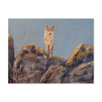 "Lone Wolf" Horizonal Postcard