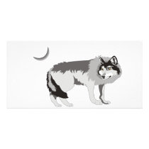 Lone Wolf II -Mystery Canine! photo cards