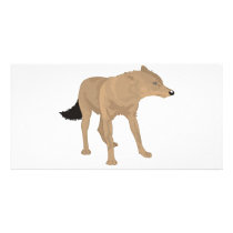 Lone Wolf -Mystery Canine! photo cards
