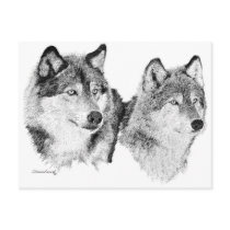 Lone Wolves Post Cards