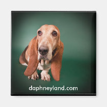 Lonely Basset Magnet magnets